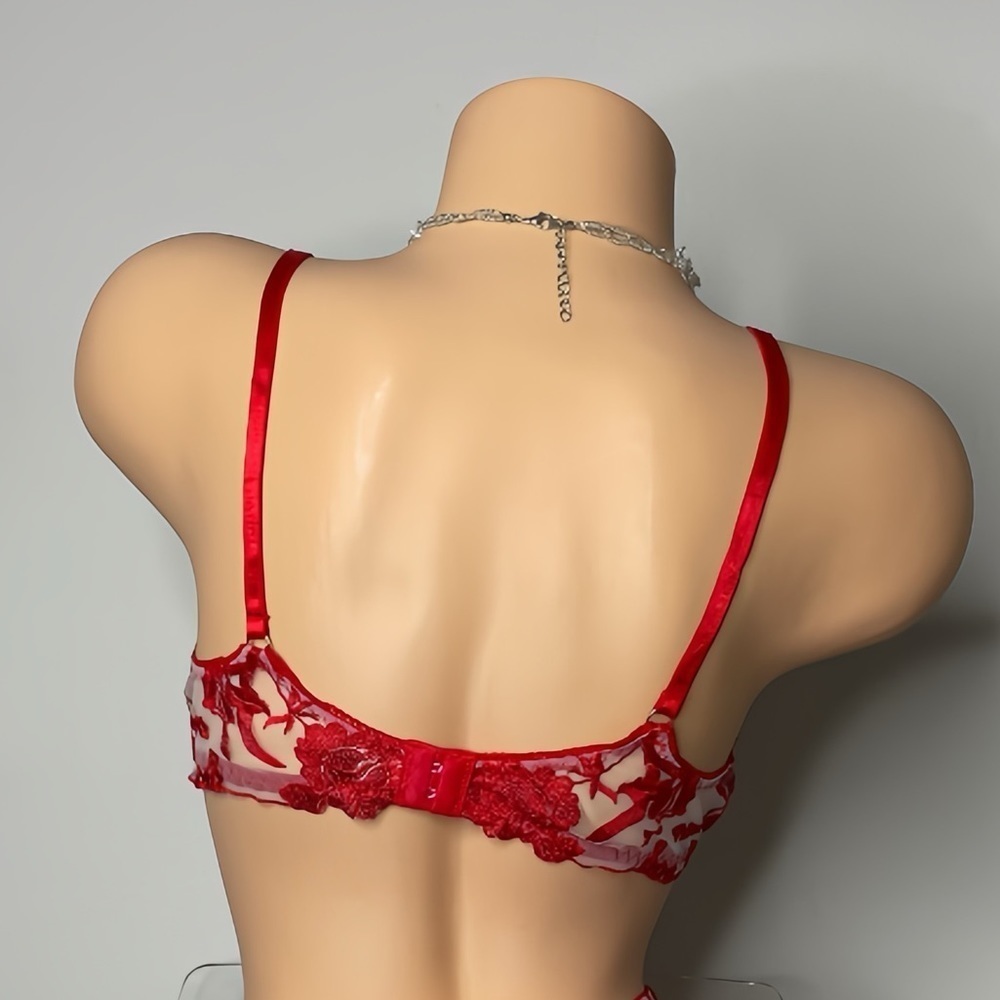 Ruby Red Bra - Picture 5 of 12